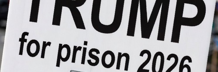 the Lunatic Left Janitor banner