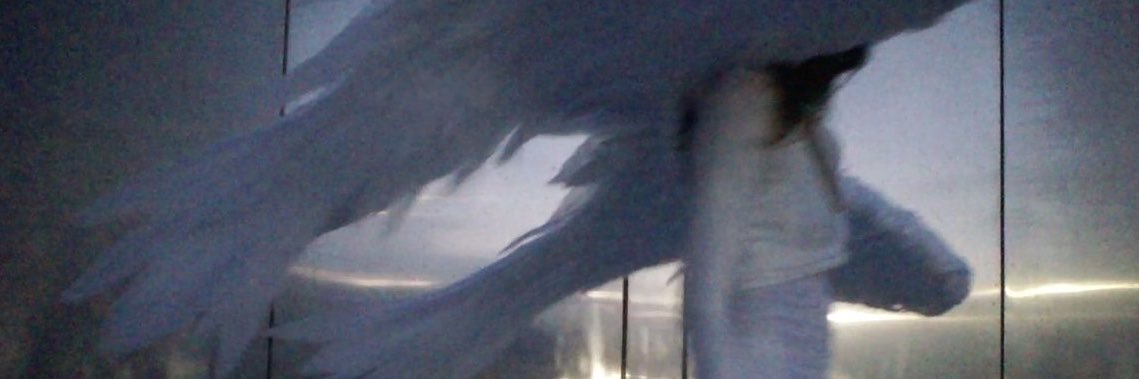 ii04we's profile banner image