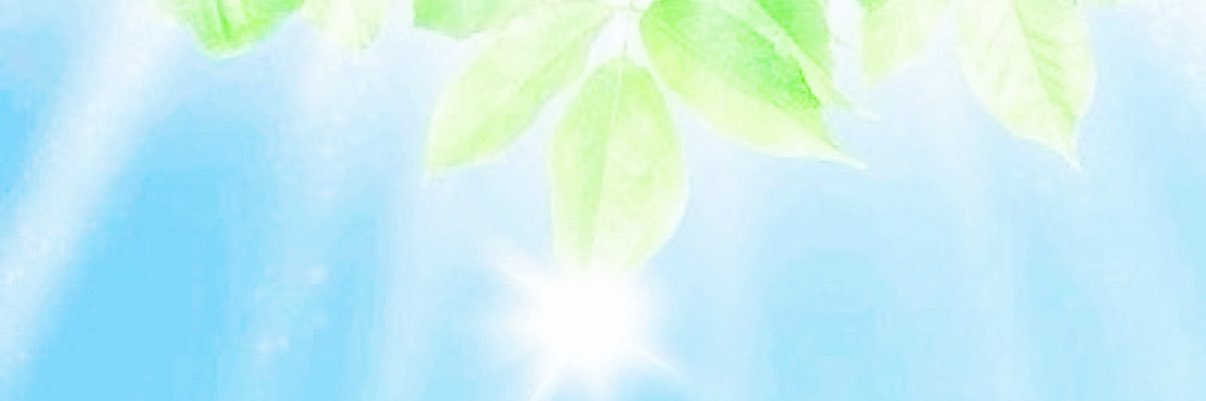 nyan banner