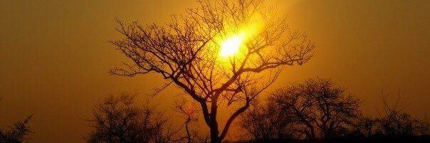 _sunset_lover7's profile banner image