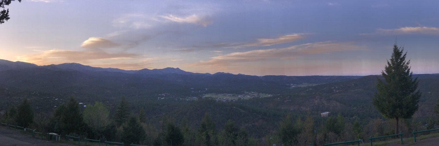 Commoner Sense🇺🇸 banner