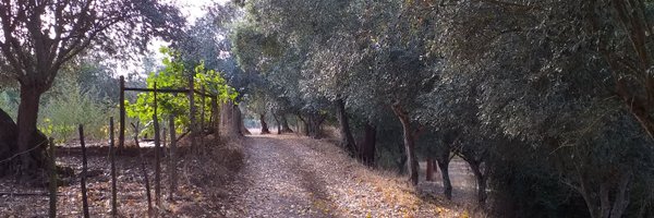 RicardoGAlves Profile Banner
