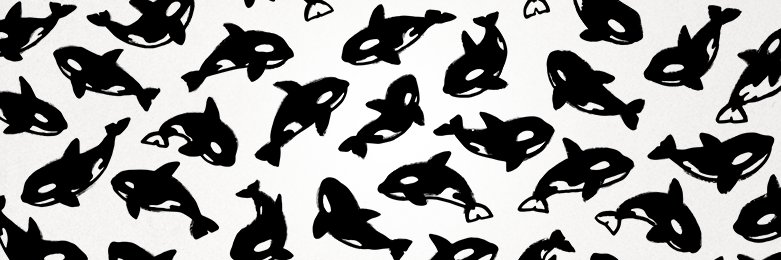Chip Nolan banner