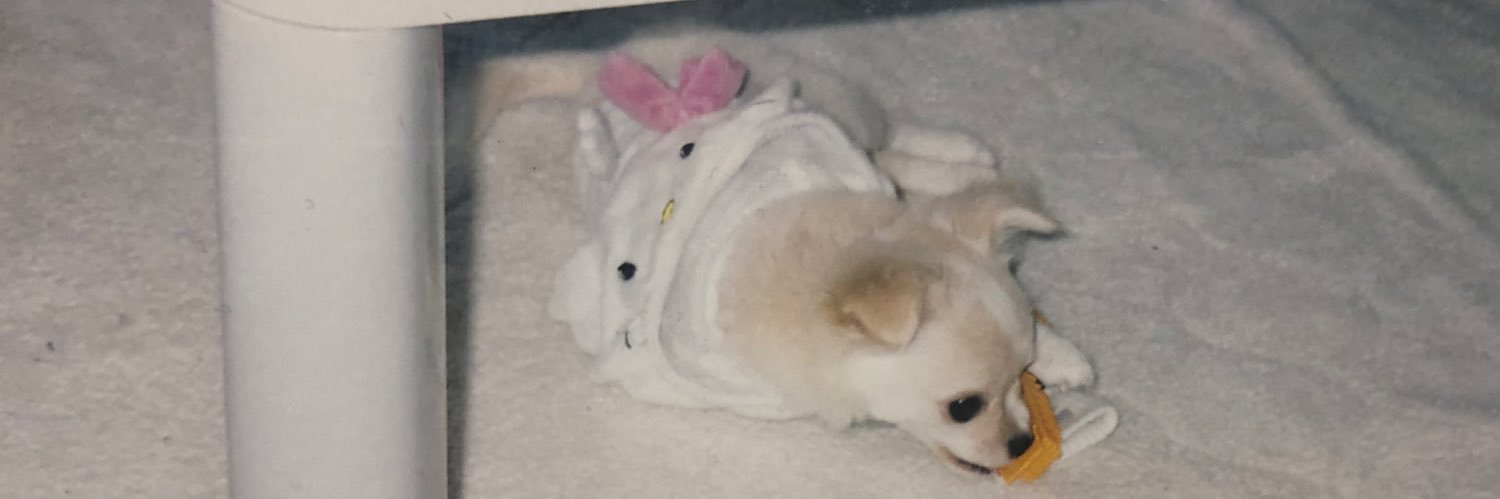 とら🦖29w banner