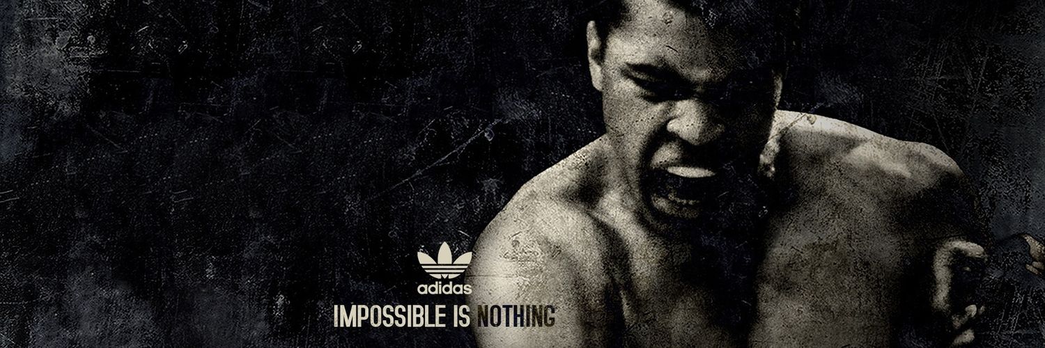 troyDwonderboy's profile banner image