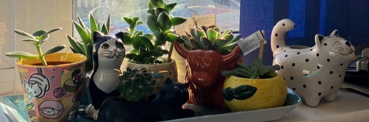 clareyeahyeah's profile banner image