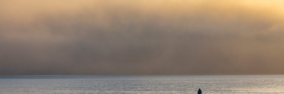Jennifer Vargas banner