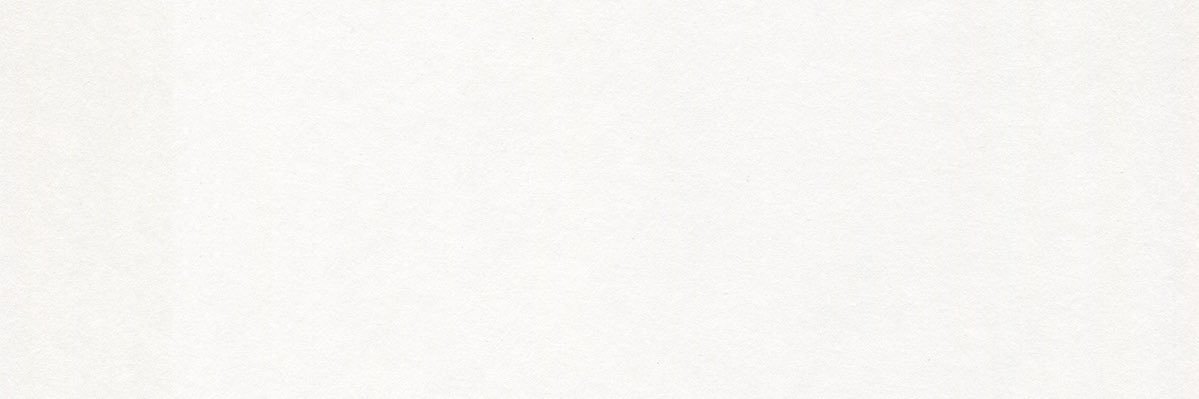 pani / ぱに banner