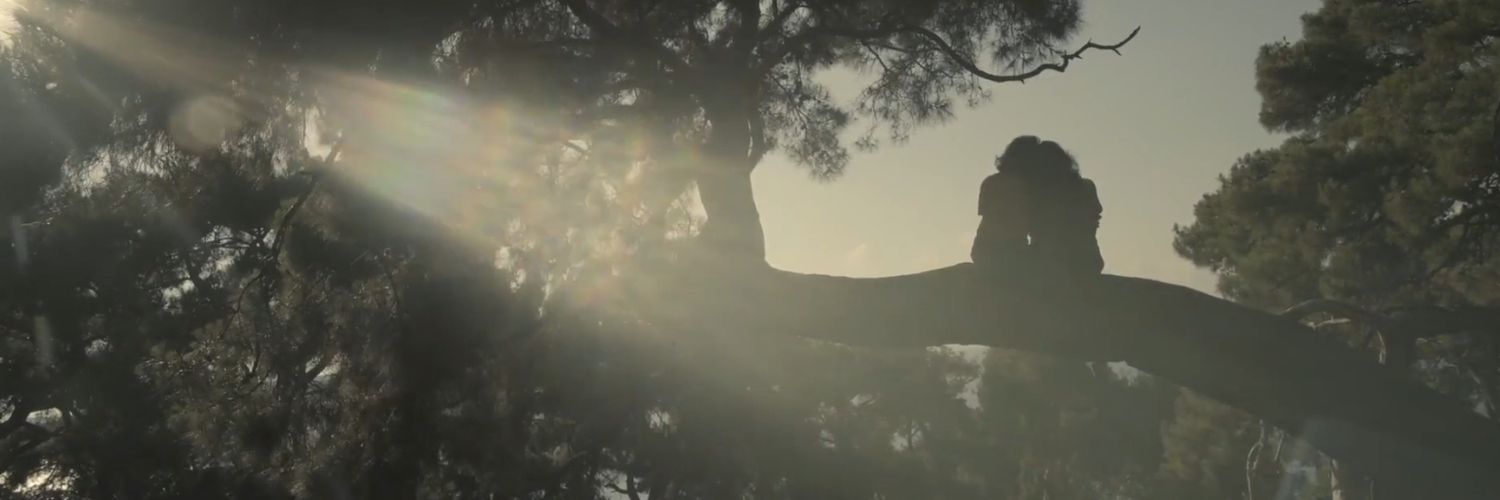 CattWomann's profile banner image