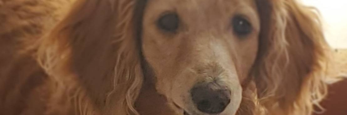 warmking's profile banner image