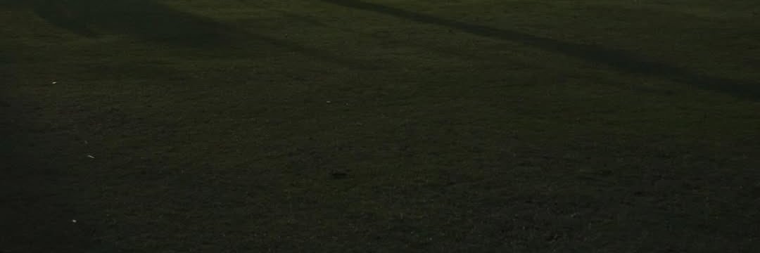 🦁 banner