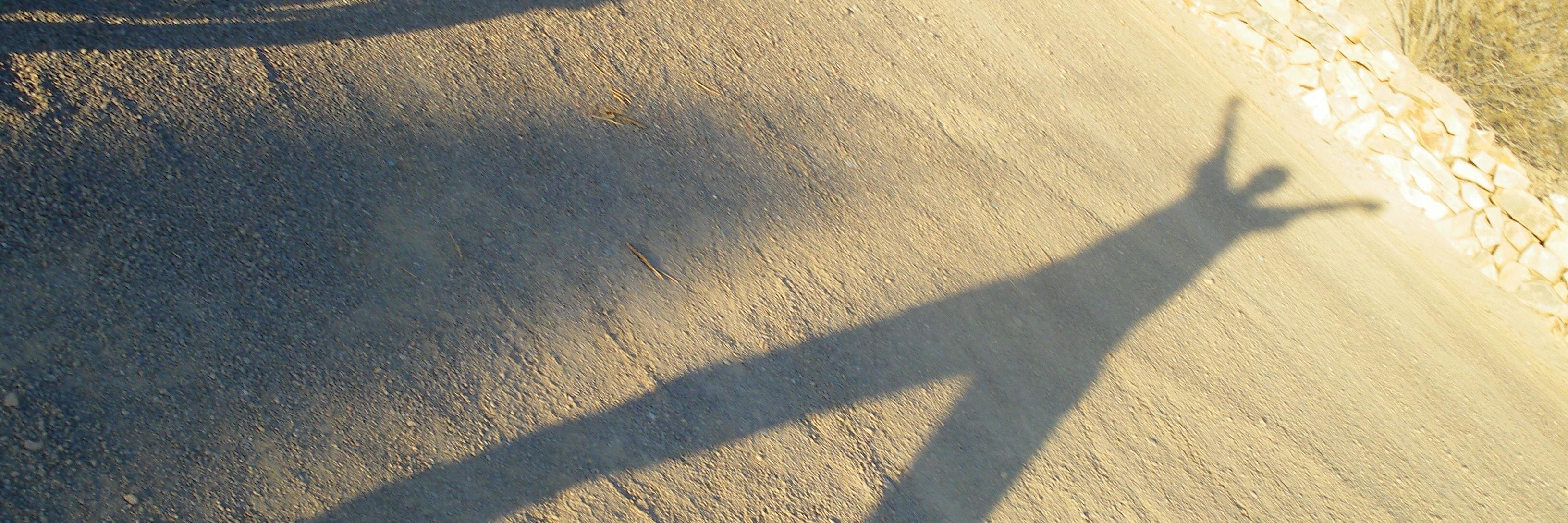 JessRadde's profile banner image