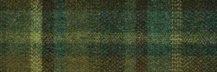 아치 키튼 banner