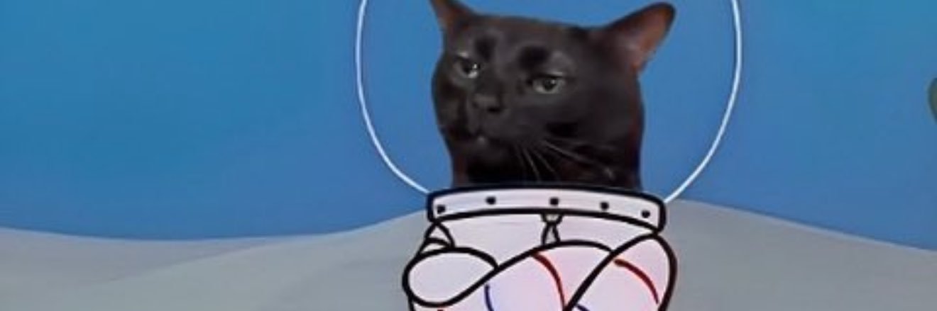 Mrgooseslayer banner