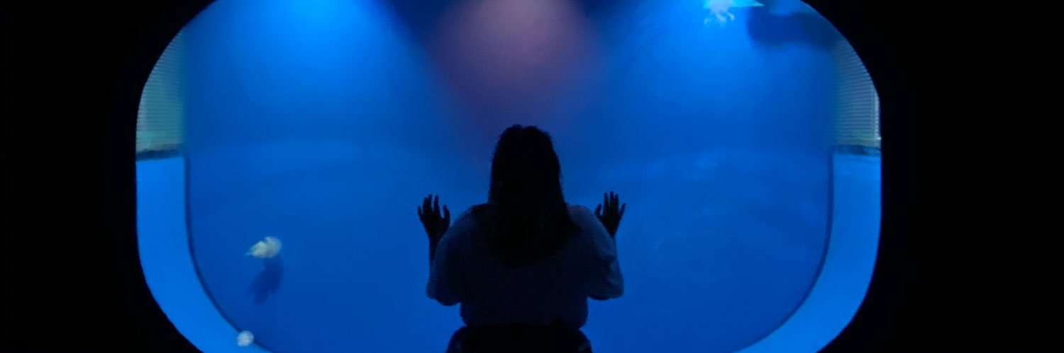 L I A banner