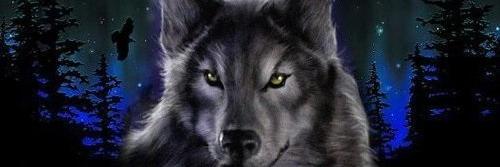 ONY_ME's profile banner image
