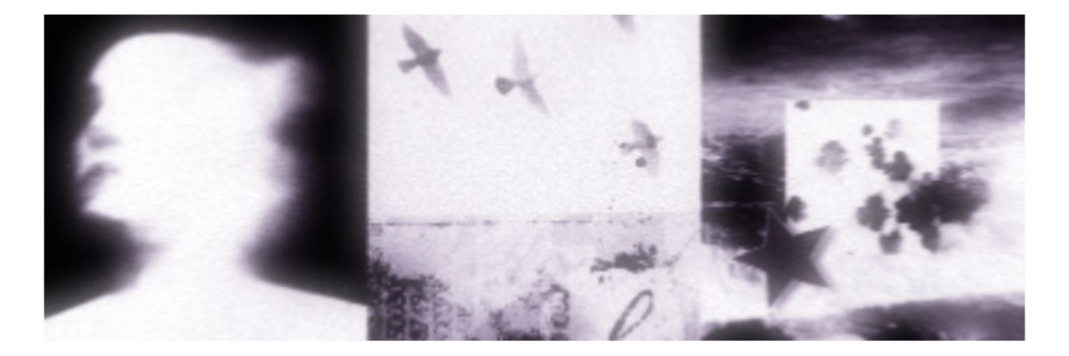 폴댄서 𝖢𝖺𝗍𝗁𝖾𝗋𝗂𝗇𝖾. banner