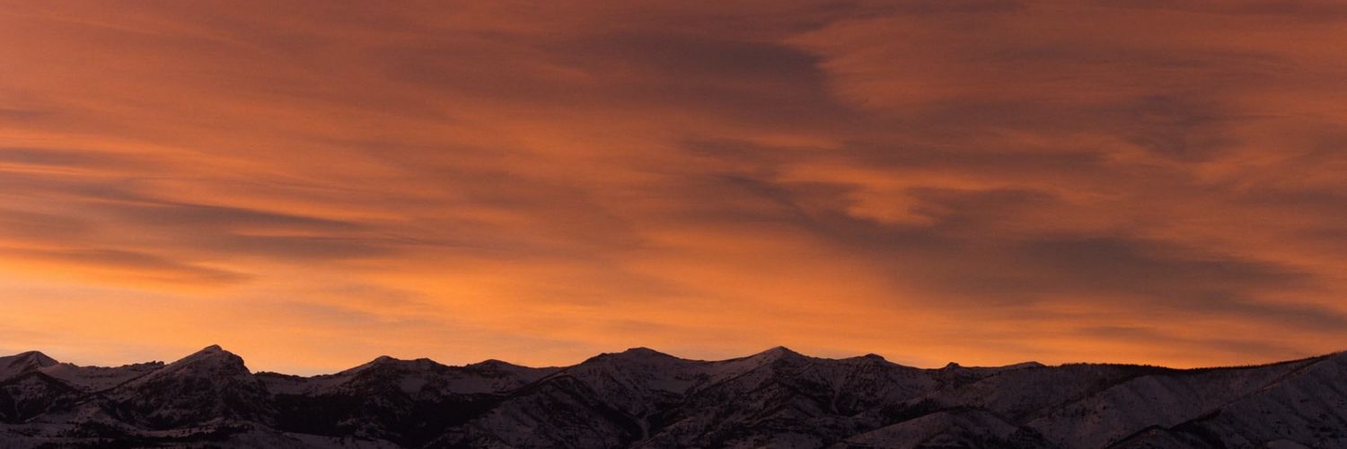 cbzer0's profile banner image