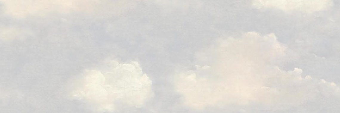 megtanevaplays's profile banner image