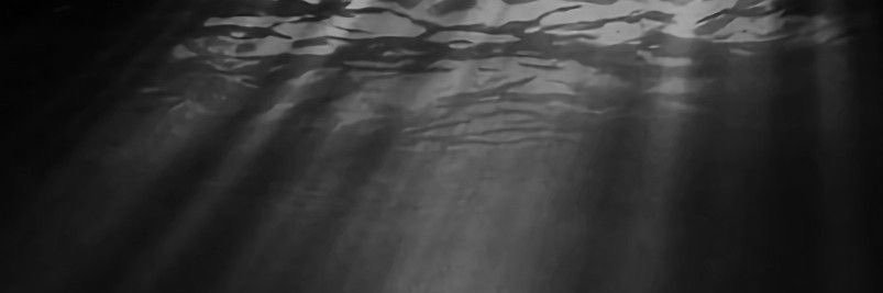 レジィ・スター【非公式】 banner