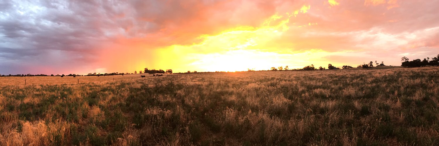 Steve Manning banner