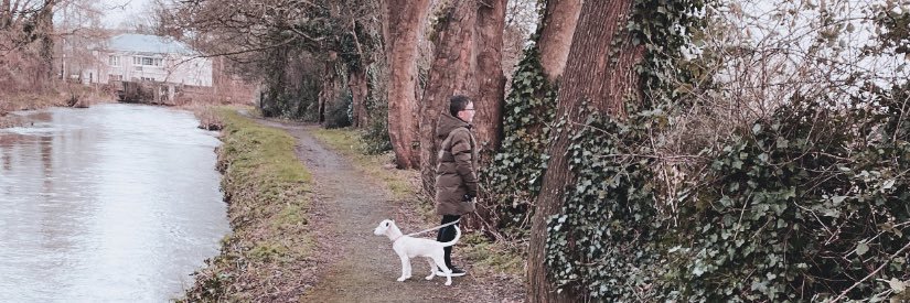 Nellworth's profile banner image