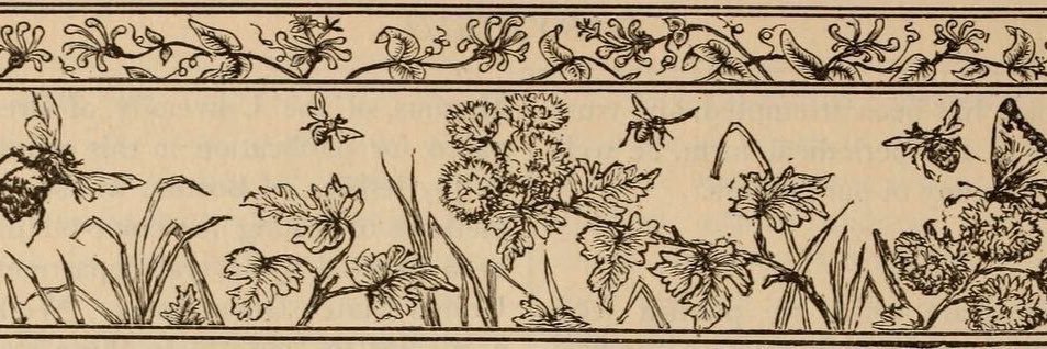 Des | SHEDTWT ⚢ banner