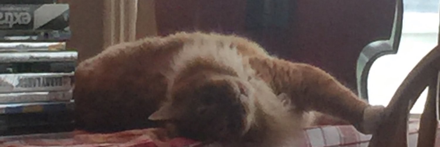 last_calls's profile banner image