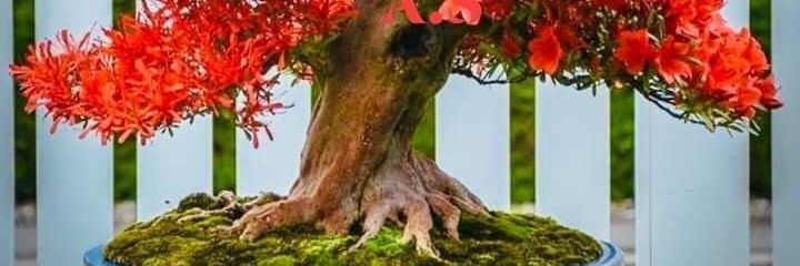 dunsa100's profile banner image