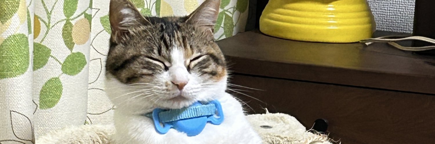 美木猫助 banner