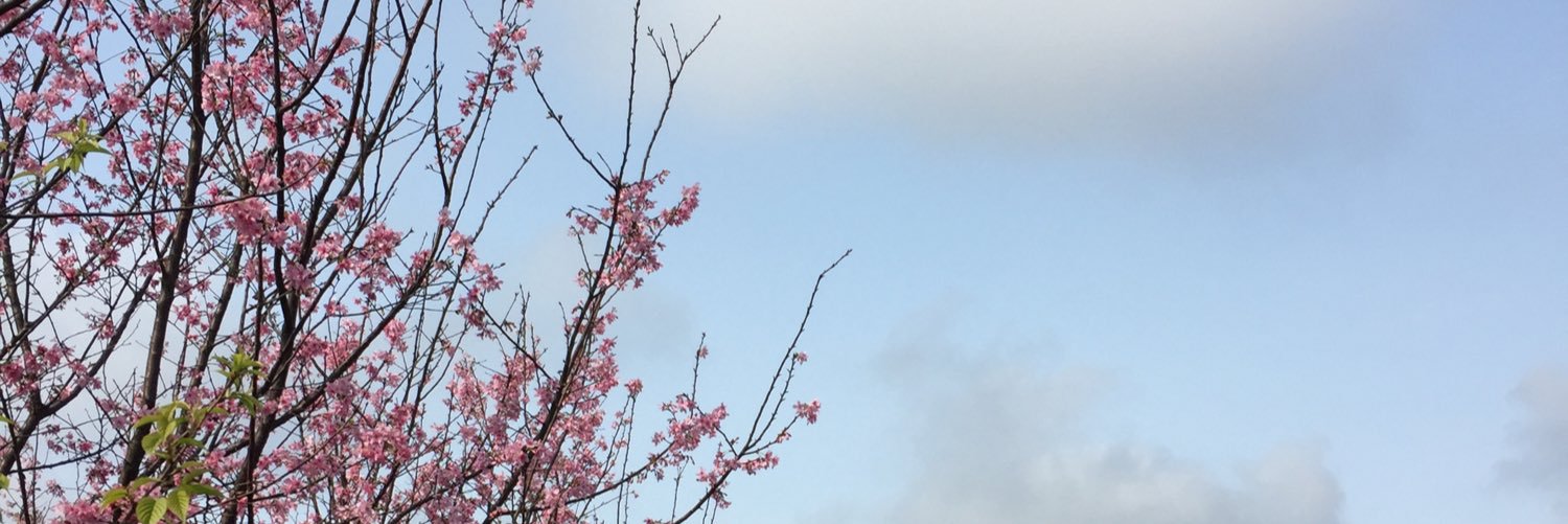 chiengreen's profile banner image