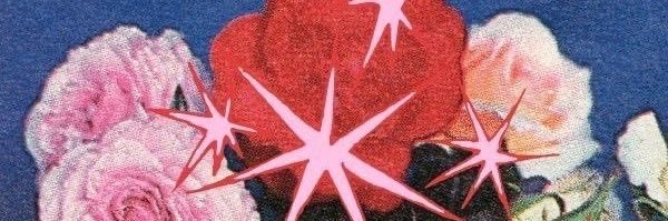 𐔌՞ val ՞𐦯 banner