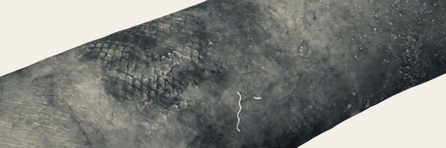 hidarite_note's profile banner image