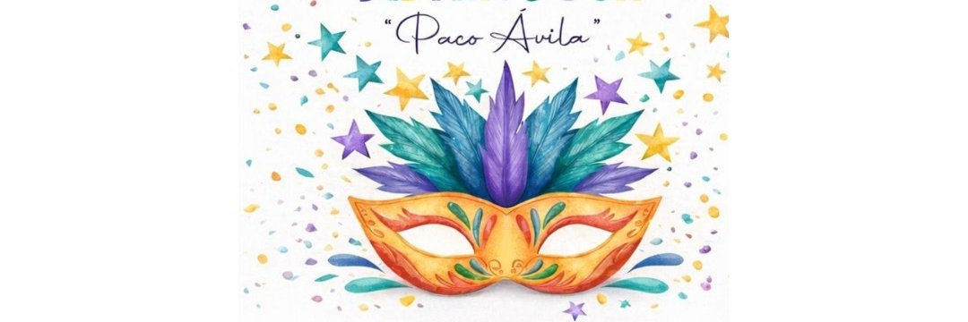 Carnaval Distrtito Sur banner