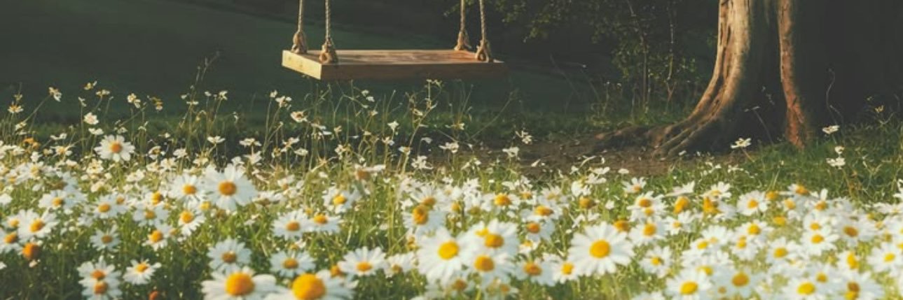 Ayethidar(Ceri💛💜AouBoom🌼🌸) banner
