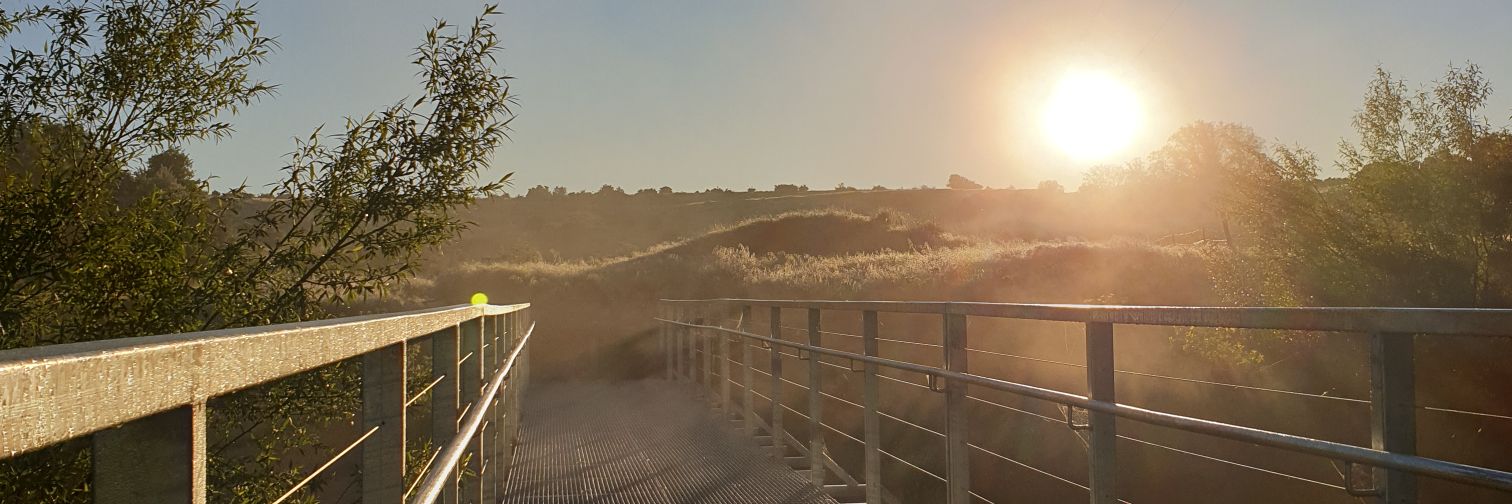 supermattrhodes's profile banner image