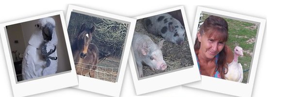 debbiespetfarm Profile Banner