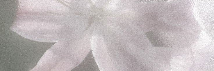 d0tty_html's profile banner image