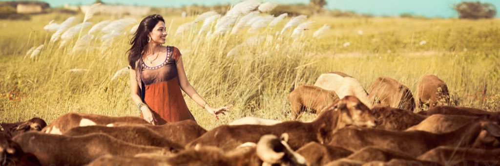ashitap's profile banner image