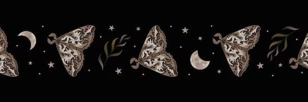 𝓥 ᥲᥒᥲ | magista e cartomante. banner