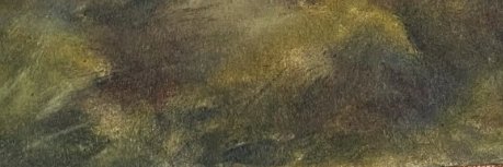 The Lichen Studio banner