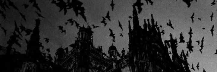 DarlingGhoste banner