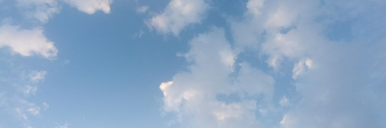 •×TAONI×• |LF Artmoots! banner