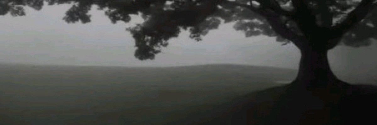valc banner