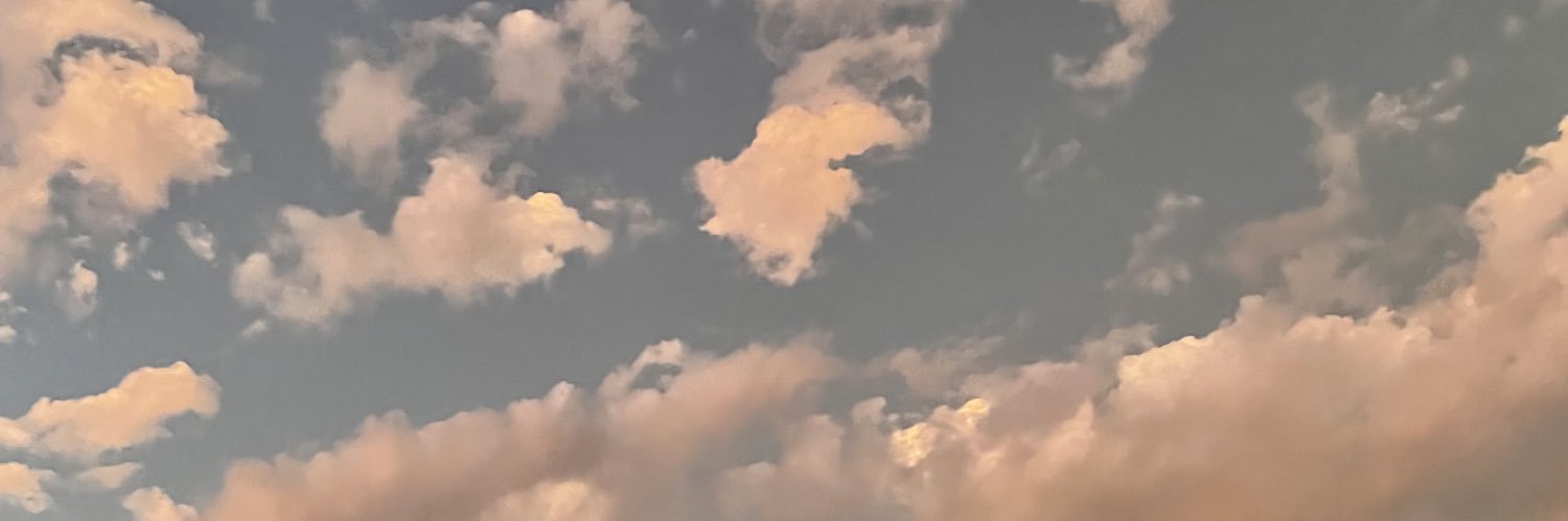 islauren's profile banner image