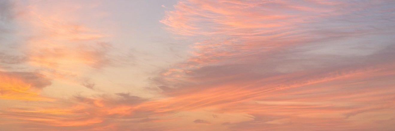 Aisha banner