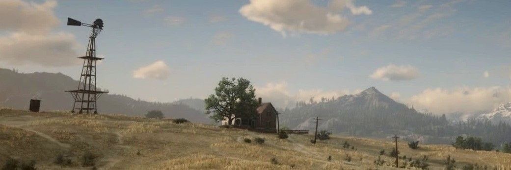 🦬 . daily charles smith . 𖹭.ᐟ banner