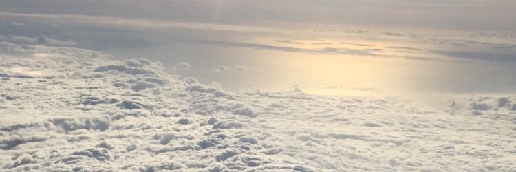 jaymeleecc's profile banner image