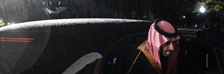 Elln2u's profile banner image