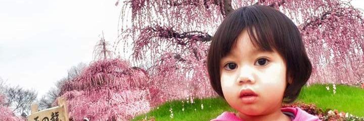 dhewinta's profile banner image